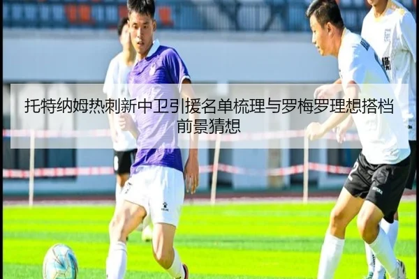 托特纳姆热刺新中卫引援名单梳理与罗梅罗理想搭档前景猜想